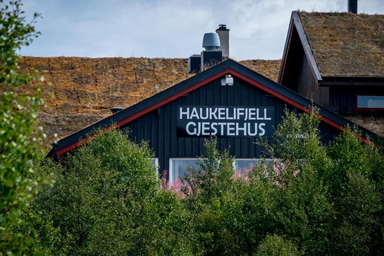 Hôtel Haukelifjell Gjestehus à Vågsli Extérieur photo